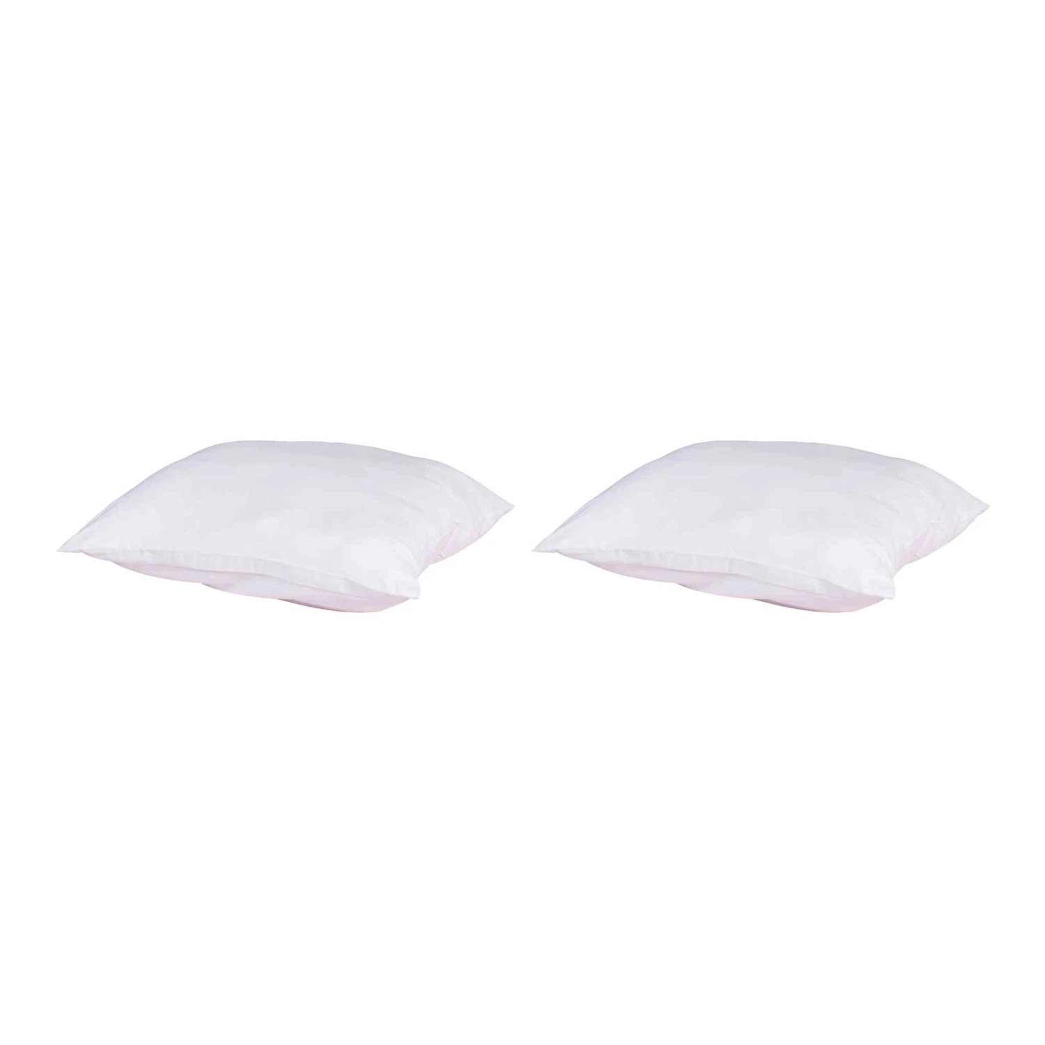 Lot De 2 Oreillers Anti-punaises Et Anti-insectes Moelleux Enveloppe Microfibre 1 Lot De 2 Oreillers Anti-punaises Et Anti-insectes Moelleux Enveloppe Microfibre