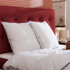 Lot De 2 Oreillers Moelleux Duvet De Canard Anti-allergènes Someo -Lematelas Soldes Boutique 2oreillers duvet de canard zoom ambiance 2