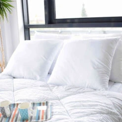 Lot De 2 Oreillers Protection Anti-acariens 60x60