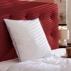 Oreiller Moelleux Duvet De Canard Anti-allergènes Someo