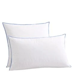 Lot De 2 Oreillers Moelleux Duvet De Canard Anti-allergènes Someo -Lematelas Soldes Boutique oreillers moelleux duvet de canard anti allerg nes someo 60x60 et 45x70 face fond blanc 2